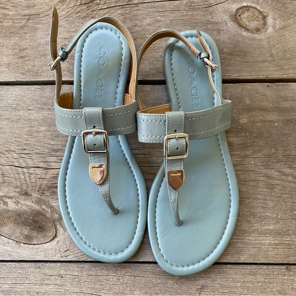 Coach Shoes - Coach Cassidy Blue Steel Sandals